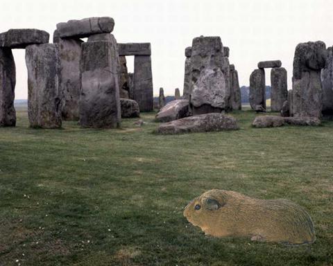 Rusty at Stonehenge