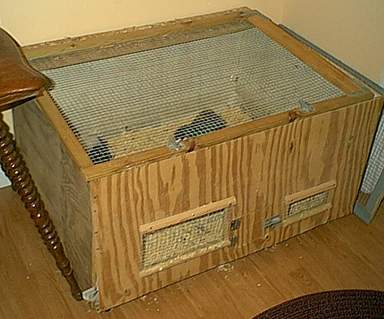Rusty's new home