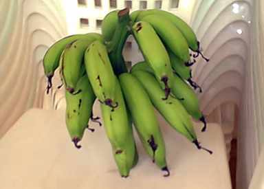 Bananas
