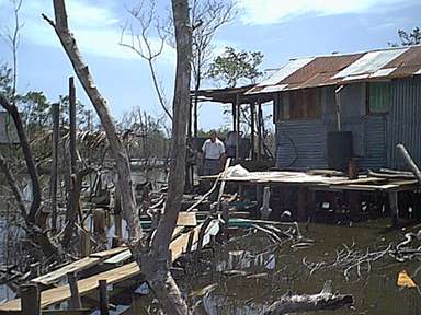 Campo Nado