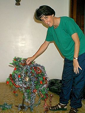 Our tree as it came from the attic
