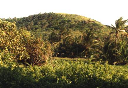 Pumpkin Hill
